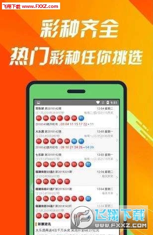 揭秘王中王的秘密，675的背后故事493333王中王开奖结果675美人鱼