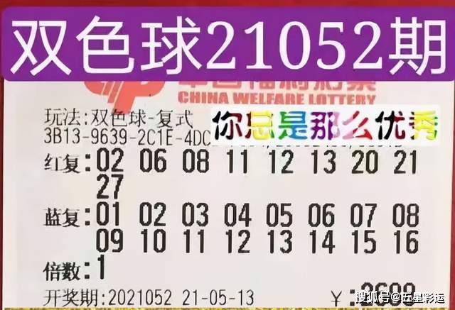 澳门2019一肖二码期数预测，理性看待彩票与娱乐的界限
