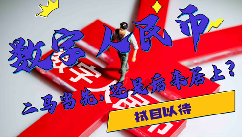 今期特马开奖结果，揭秘数字背后的故事与期待今期特马开奖结果澳门