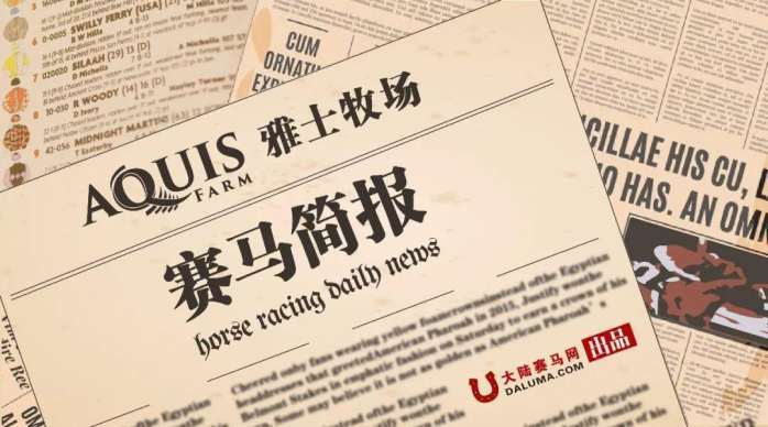 今期马会传真，揭秘香港赛马的魅力与影响今期马会传真图正版57期马会传真