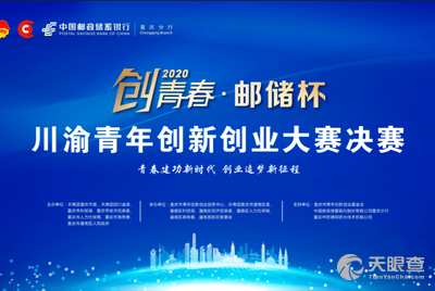 青春与创业的交响，510网赚论坛的故事