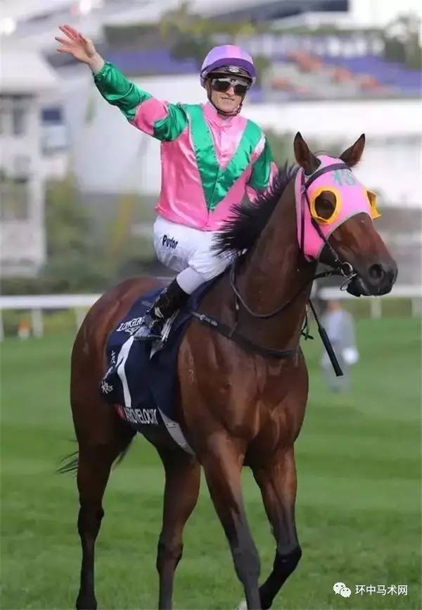 2019年香港马会开奖记录与结果回顾2019年香港码开奖记录