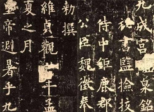 探索新澳马，今天最快最新图库的魅力新澳马今天最快最新图库223期四不像图片