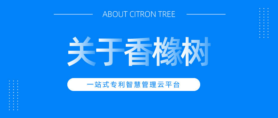 管家婆20-4新澳正版资料，助力企业高效运营的智慧之选