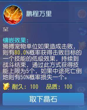 探索未知的幸运之门，揭秘看今晚开什么特马今晚开什么特马肖