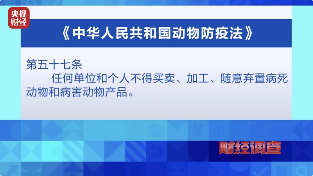 探索香港最快开奖现场直播，揭秘89号奖项的神秘面纱香港最快开奖现场直播结果开奖记录网站