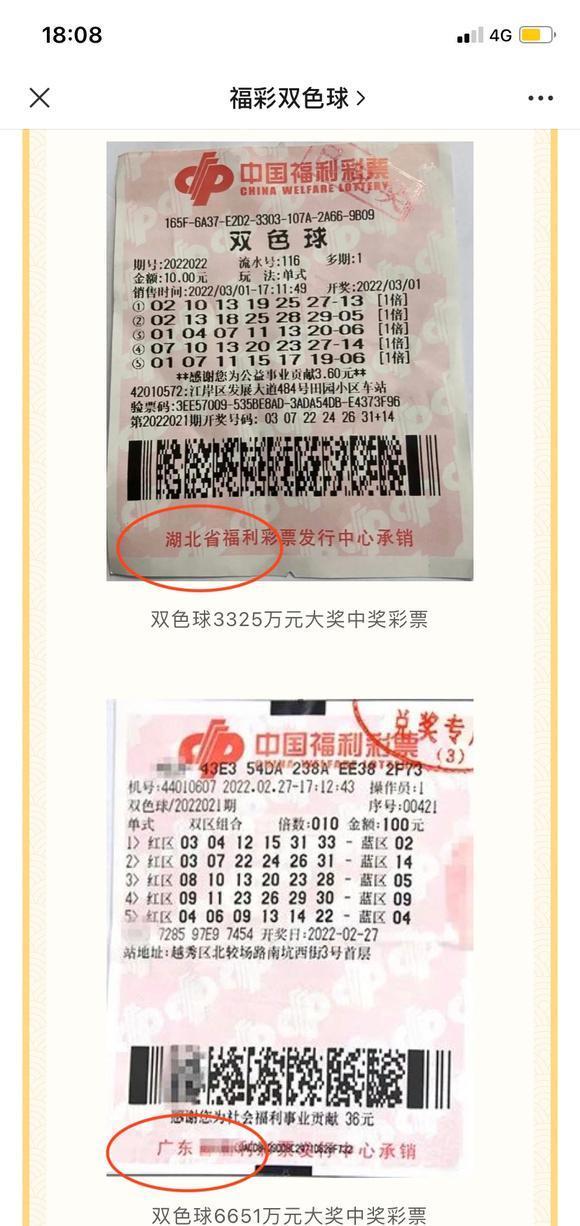 香港澳门资料大全,揭秘T字头彩票背后的故事与两地文化概览香港资料免费长期公开
