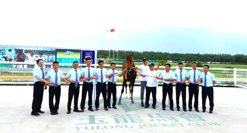 2019香港马会资料大全，探索赛马的魅力与背后的故事