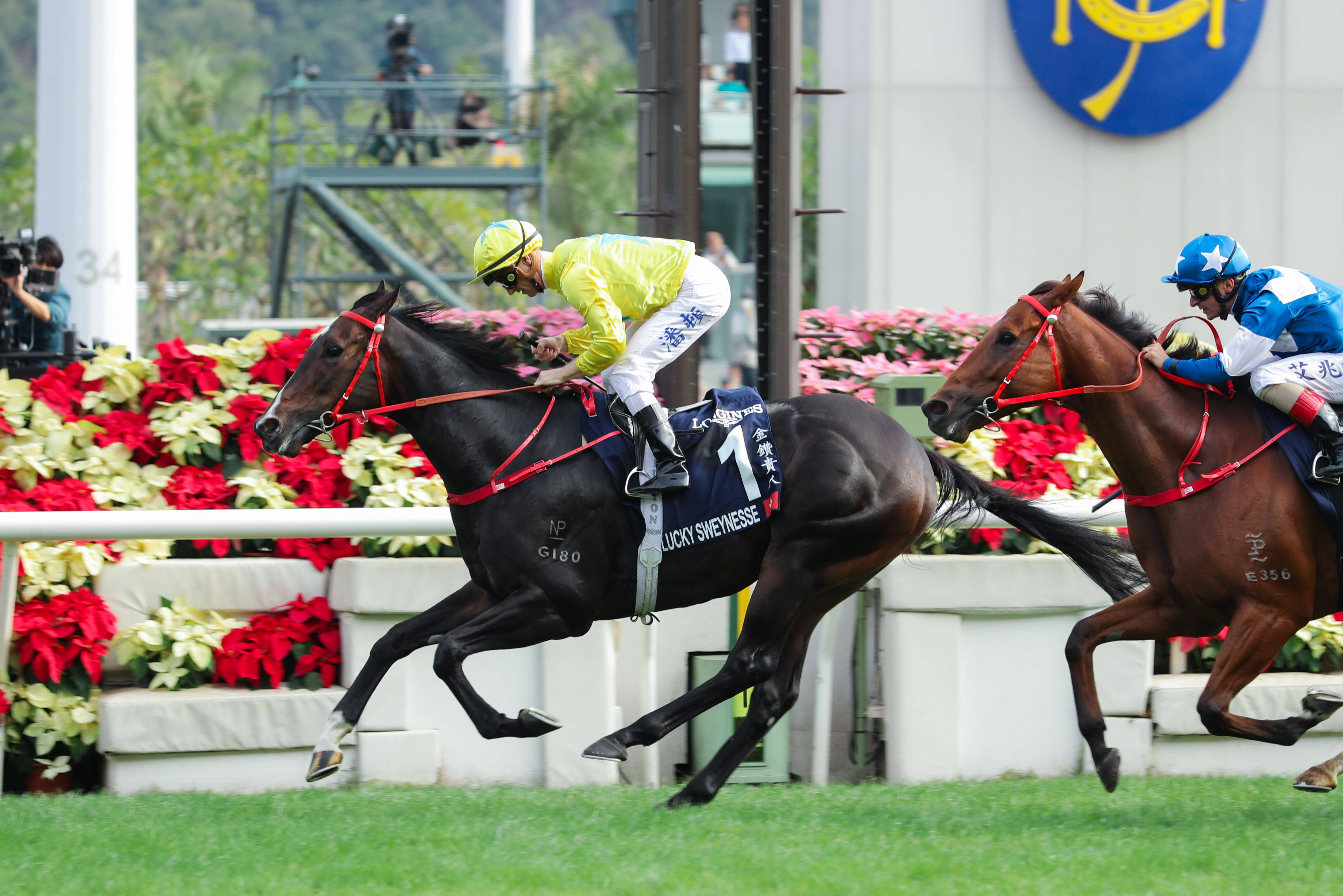 2019香港马会资料大全，免费资源与精彩赛事回顾香港2021年马会资料大全
