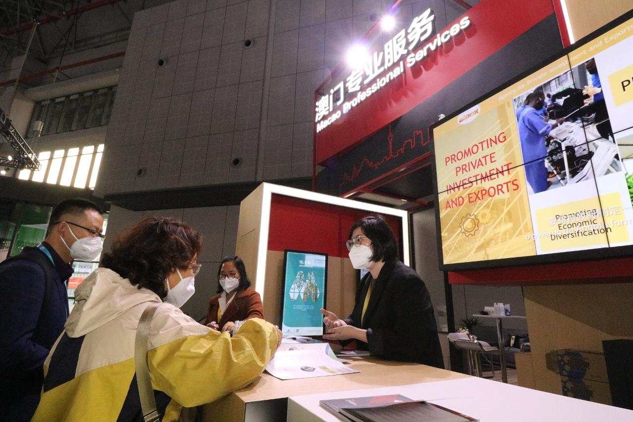 新澳门六开彩资料查询，理性看待彩票，谨慎对待风险与诱惑的平衡术