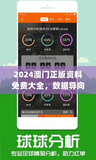 2019年澳彩资料，48tkcom的年度回顾与展望49tkcom澳彩资料2021生肖卡