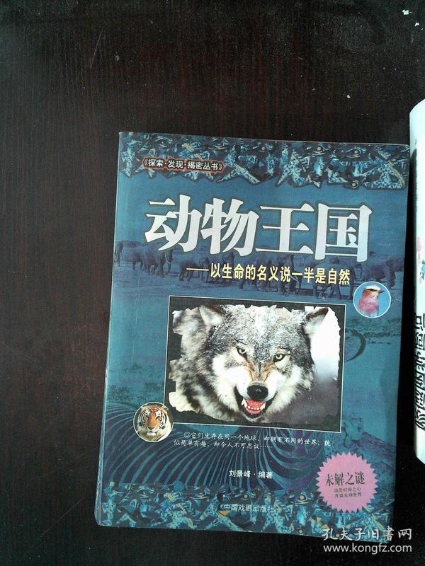 探索神秘，629354四不像图—解密未知的视觉密码67852四不像