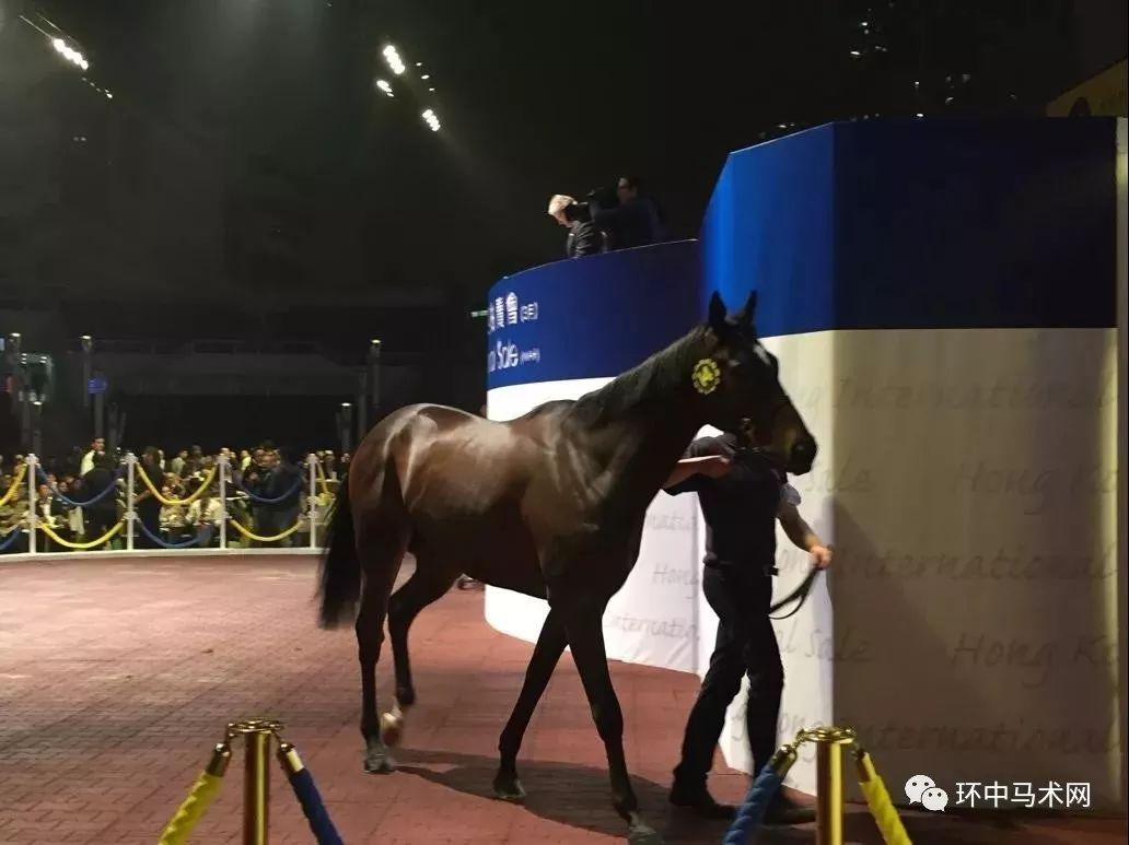 今期马会传真，揭秘香港赛马的魅力与影响今期马会传真内部封信