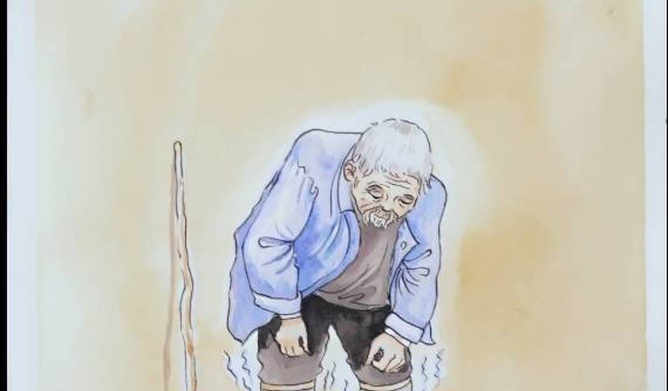 246天天好彩，数字背后的生活哲学与希望之光