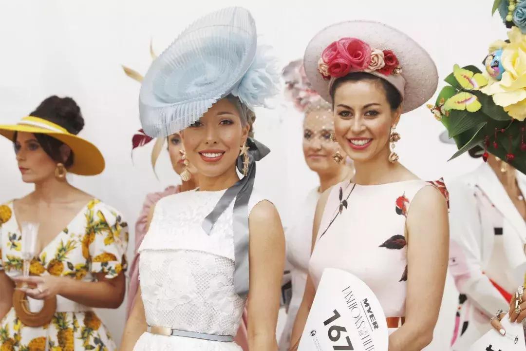 探索2019年香港马会正版资料大全，赛场风云与投注智慧并进香港正版马会资料免费大全