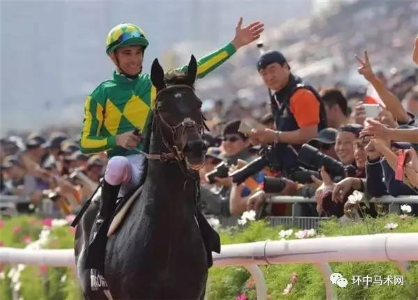 香港马会开码结果直播与2019年精彩回顾香港马 会开奖结果新闻