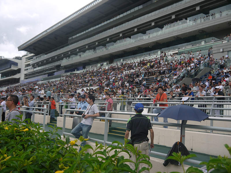 探索香港马会正版资料大全2019，赛马的智慧与乐趣香港正版马会免费资料大全