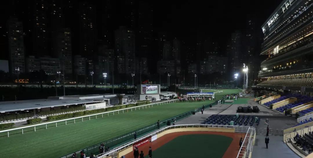 探索香港正版马会资料，一场关于智慧与责任的投注之旅香港正版马会资料 app