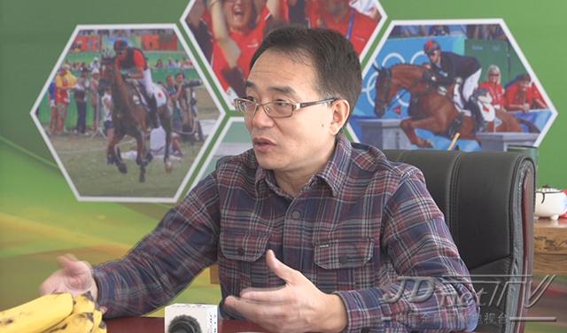 探索香港马会正版资料大全2019，赛马的智慧与激情香港正版马会免费资料大全