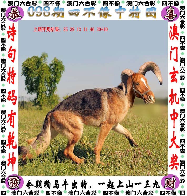 探秘香港王四不像图的神秘与魅力四不像王中王论坛,王中王手机站