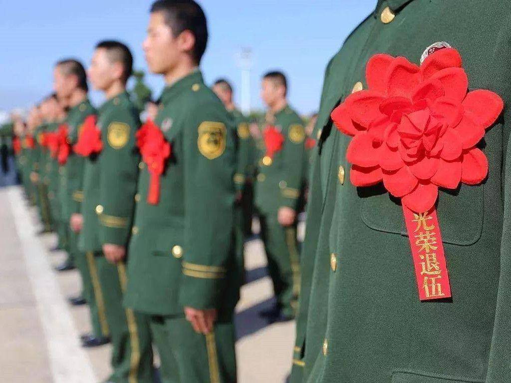 2046新澳正版资料最新更新，揭秘未来趋势与机遇2024新澳正版资料最新更新一肖一特