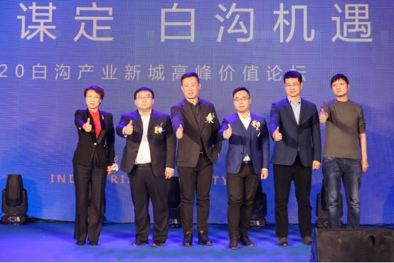 泰和在线论坛，数字时代的社区新生态泰和论坛网