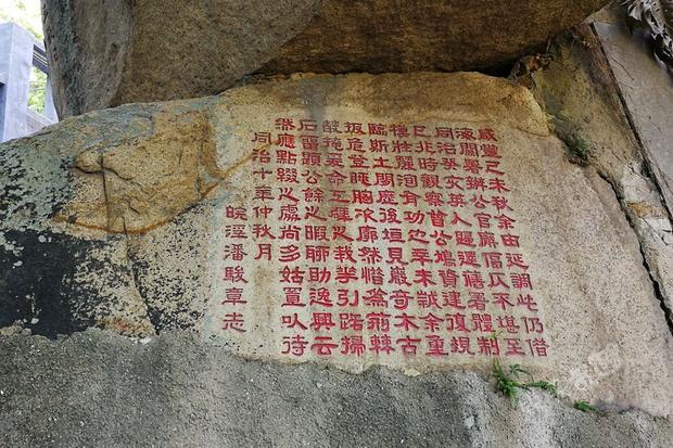 免费资料大全，香港曾道资源的深度探索与利用2021曾道正版香港资料大全下载