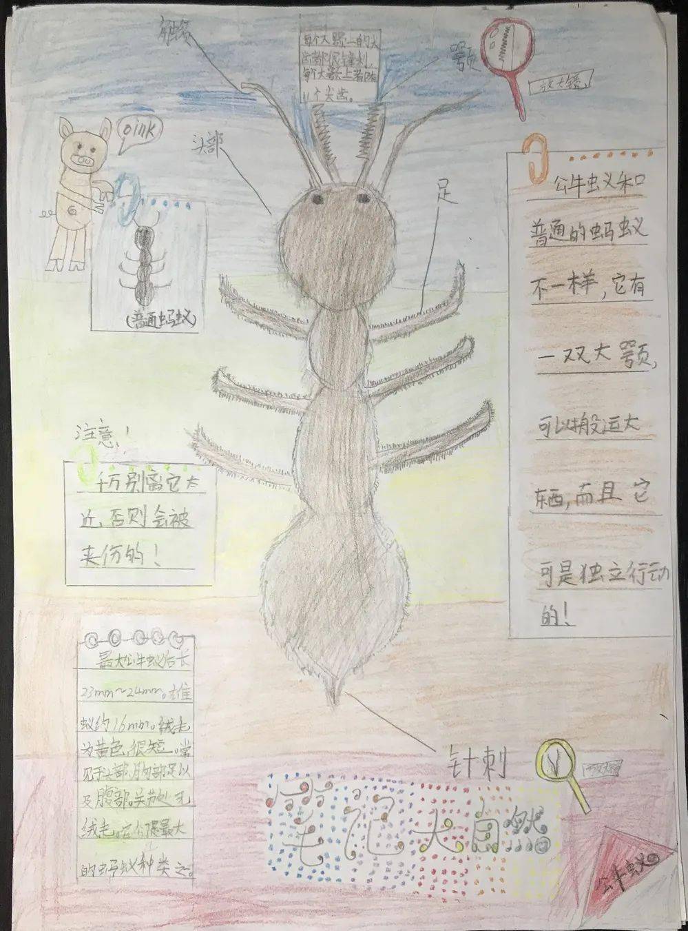技术支持 第53页