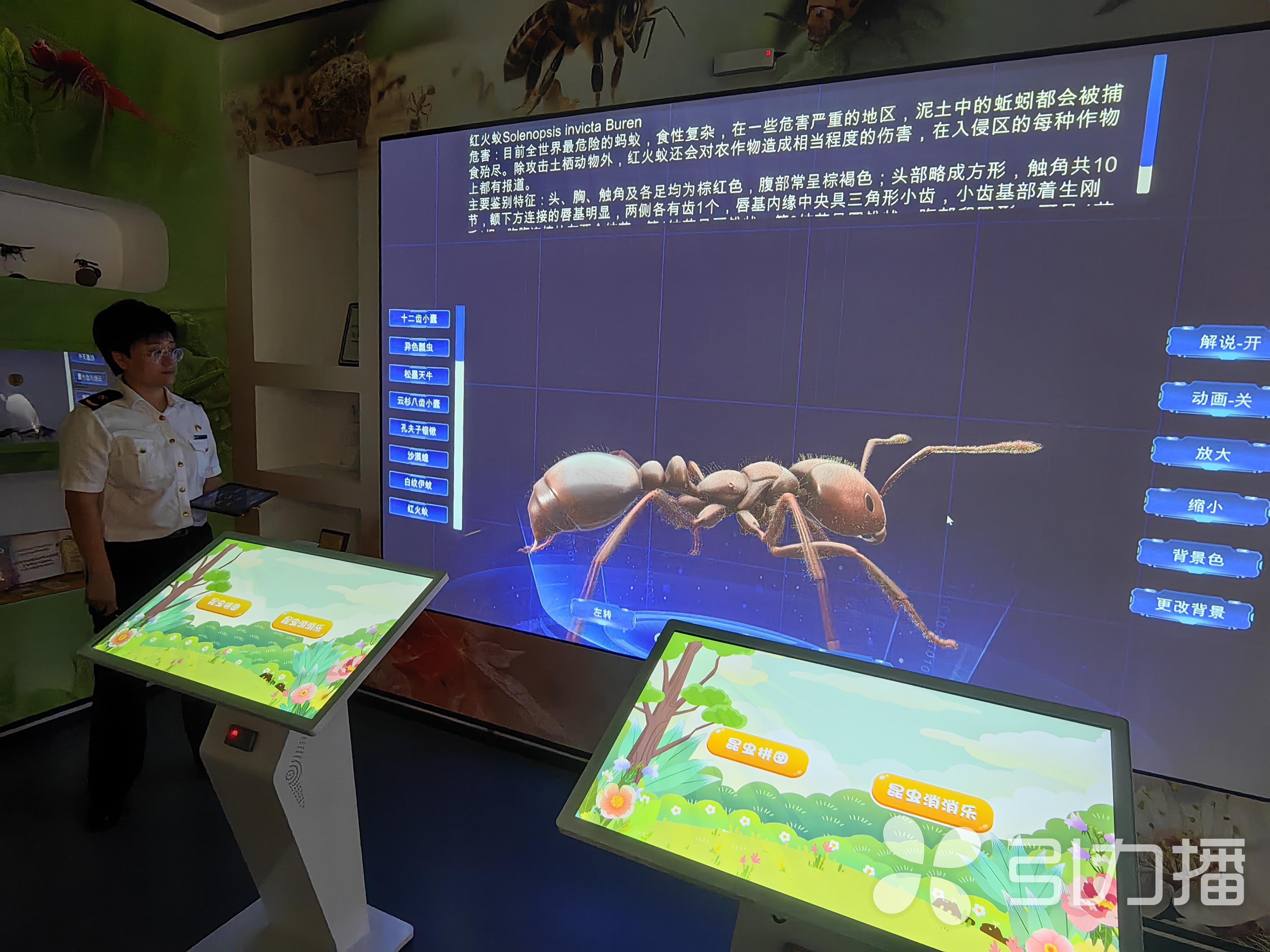 图层的应用 第52页
