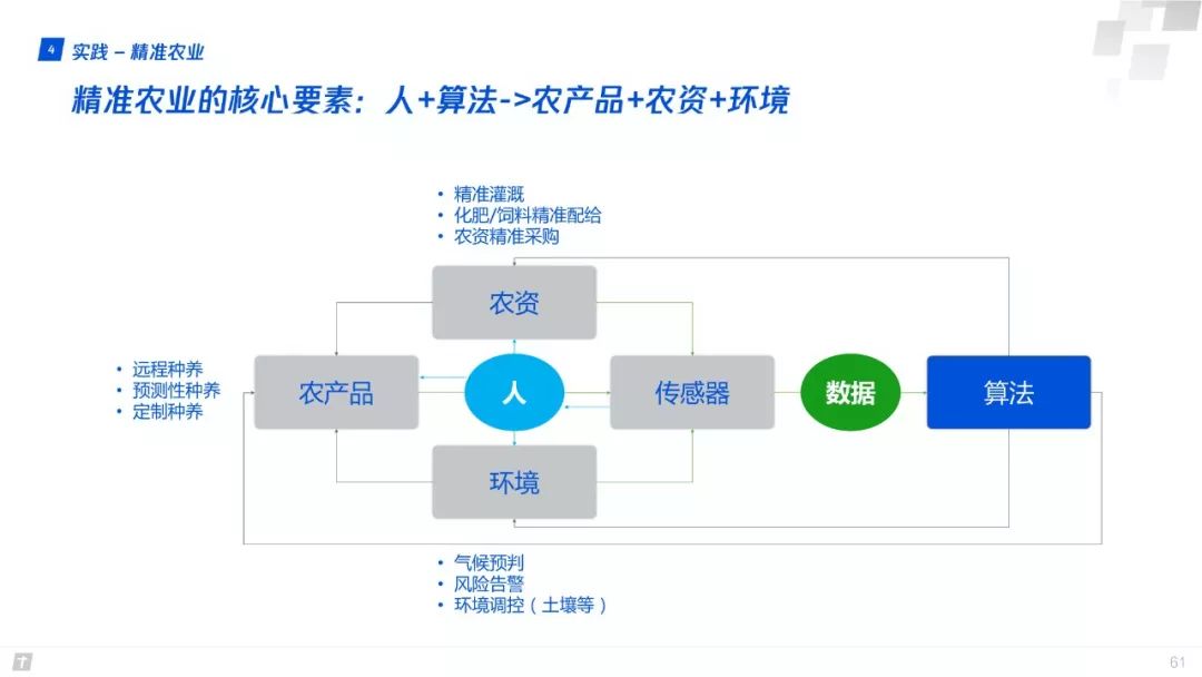 蓝姐平码论坛，网络时代的数字迷宫与理性思考蓝姐平码内部