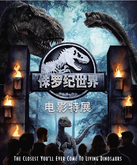 探索数字世界的奇妙之旅，揭秘www.7894321065的神秘面纱7777788888管家婆老家