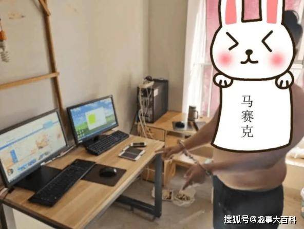 管家婆心水主论坛，揭秘背后的真相与风险管家婆心水论高手论坛