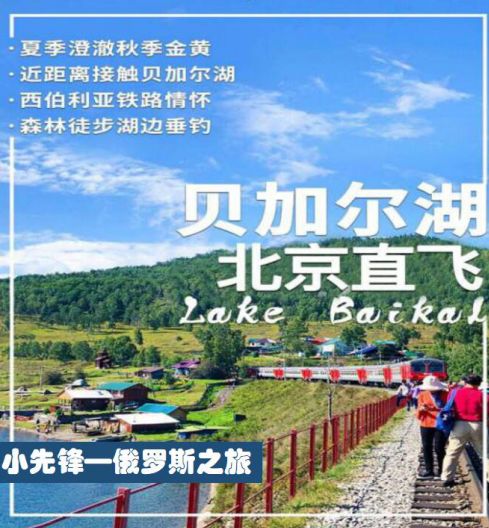 探索澳门，免费资料网站开启的精彩之旅打开澳门网站免费资料经典版优势