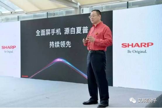澳门精选免费资料大全，华声报的深度解析与价值挖掘澳门精选免费资料大会华声报