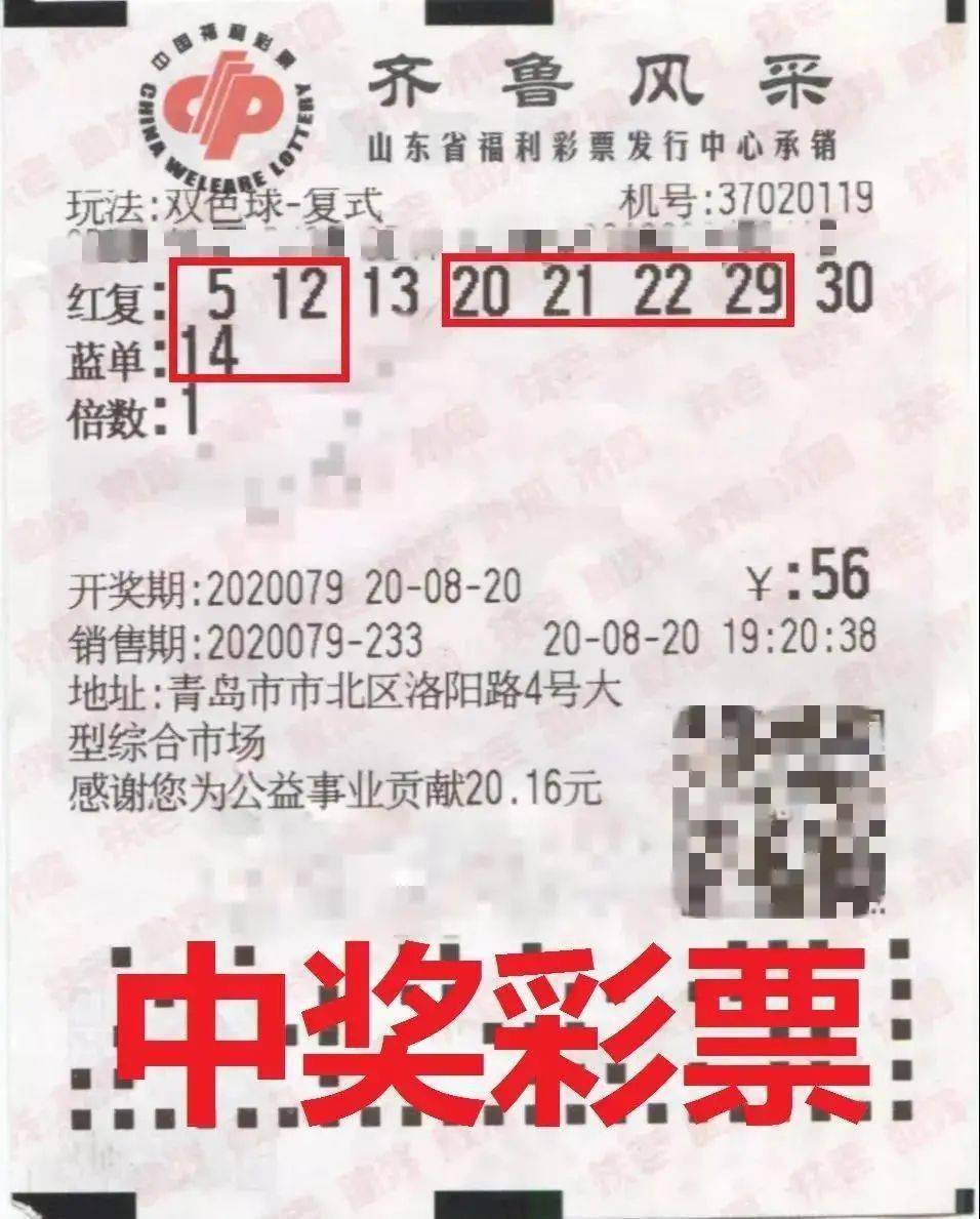 今晚已开特马，揭秘彩票背后的故事与理性态度今晚已开特马开奖结果一