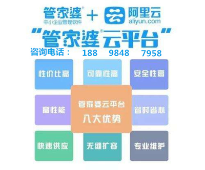 管家婆精选二四六码，揭秘数字背后的智慧与策略管家婆精选246码