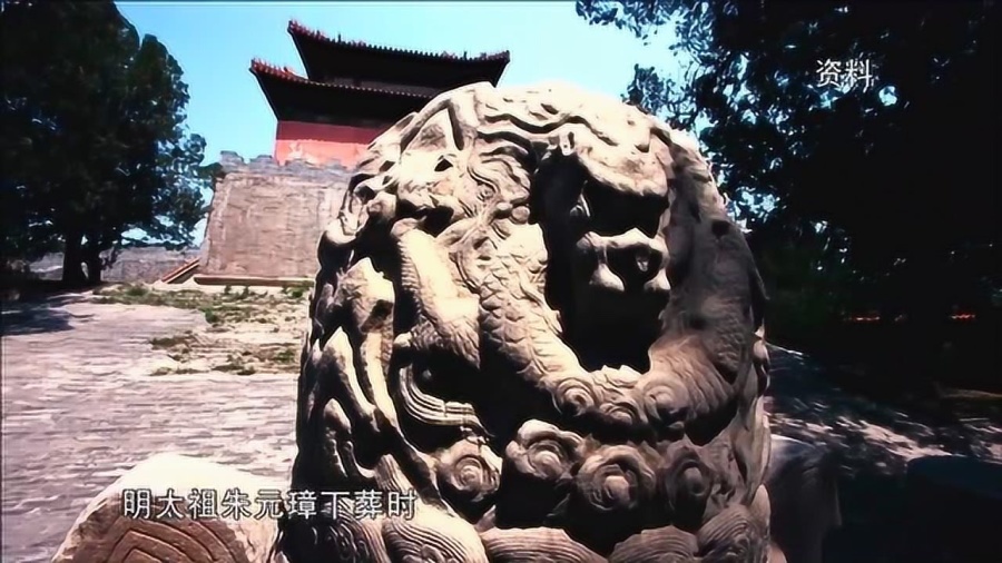 神秘预测，四不像中的王中之王，必出一肖的玄机四不像王中王必出一肖视频