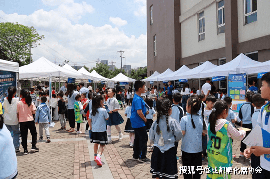 2043年，未来彩票的奇幻之旅—探索今晚开奖结果背后的科技与梦想2024年奥门今晚开奖结果+开奖记录