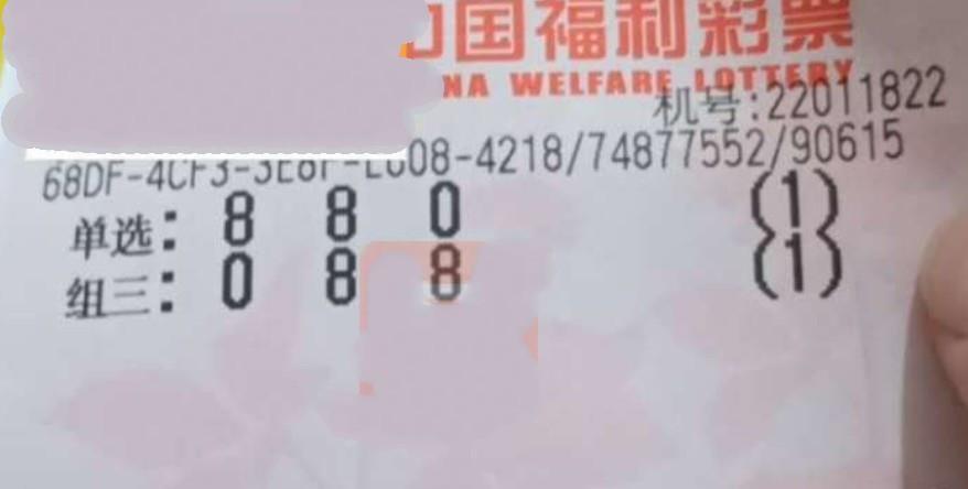 今天香港开什么特马的背后，理性看待彩票与娱乐文化现象分析今天香港开什么特马人民日报任平文章