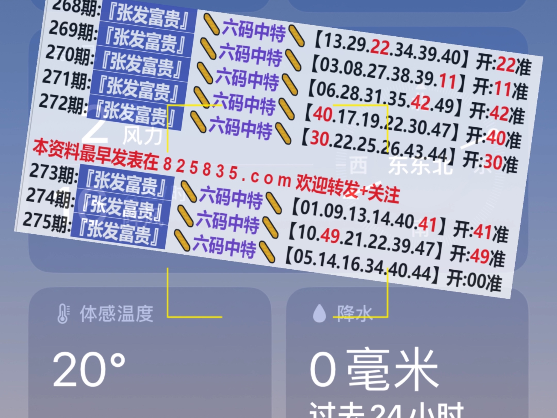 2049，新奥历史开奖记录的辉煌篇章—第138期揭秘2025年新奥开奖记录查询结果