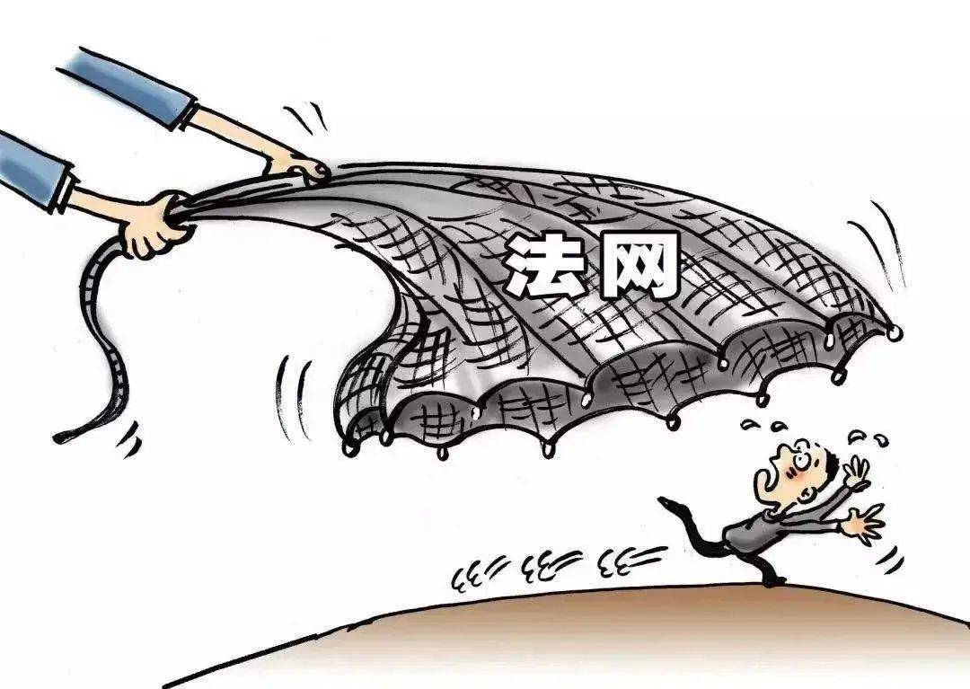 天网恢恢复和