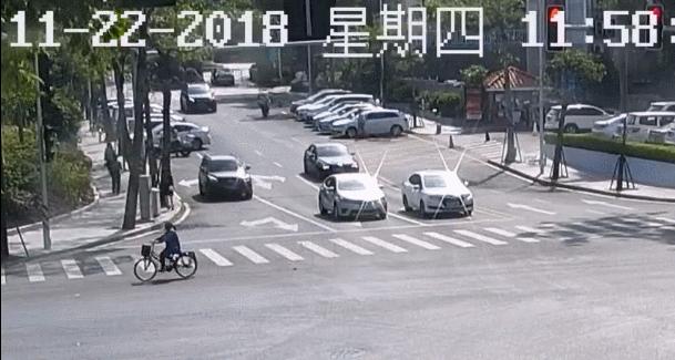 粤彩网，探索广东彩票文化的独特魅力粤彩网站