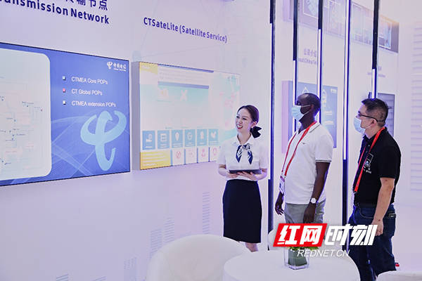 七星彩高手论坛，揭秘数字背后的智慧与策略七星彩高手论坛交流会