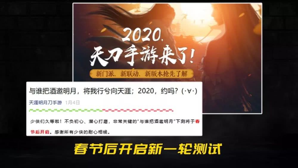 今天的特马，探索未知的惊喜与期待今晚开什么特马肖