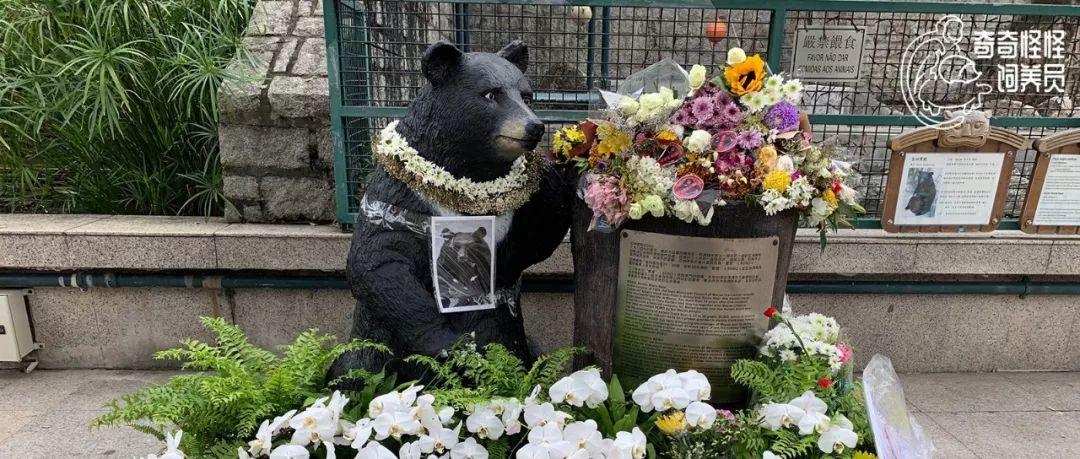 澳门开奖现场直播，探索便捷的下载与安装指南澳门开奖现场开奖直播软件下载安装免费版最新