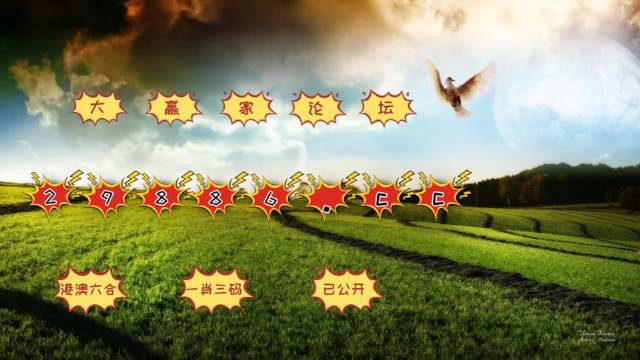 澳门彩今日开奖揭秘，探索数字背后的奇妙世界新澳门最快开奖结果开奖记录