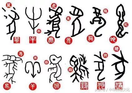 209年特马生肖图