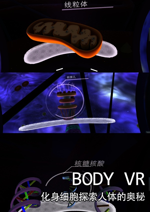 3D论坛高手，探索虚拟世界的创意与技巧3d论坛高手如何定胆