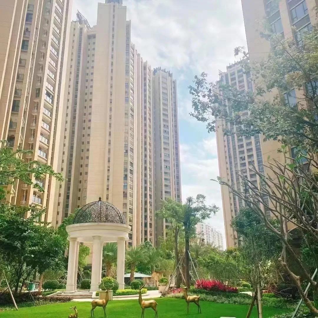 澳门新貌，探寻历史与现代的交融—详解澳门口岸区及周边区域发展历程查询表新澳门历史记录查询表最新章节