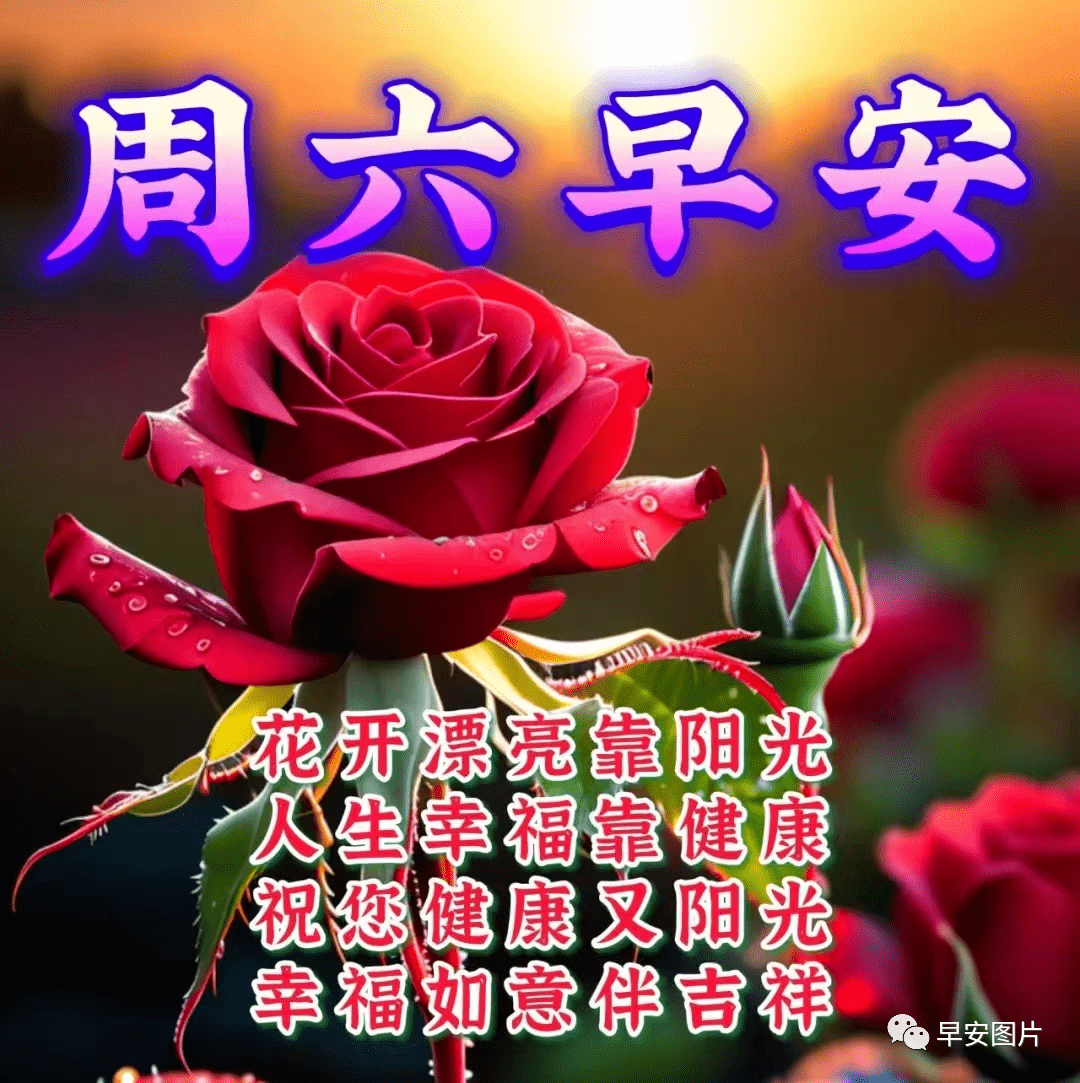 四 六 天天 好